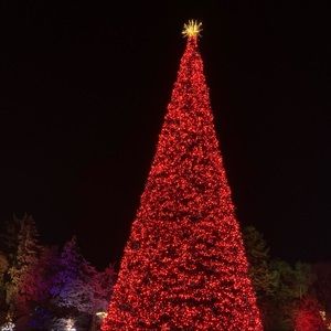 Meet your Posher, Ana-maria